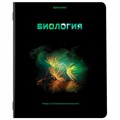 Тетради предметные, КОМПЛЕКТ 12 ПРЕДМЕТОВ, 48 л., глянцевый УФ-лак, BRAUBERG, "SHADE", 404324 404324