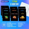 Тетради предметные, КОМПЛЕКТ 12 ПРЕДМЕТОВ, 48 л., глянцевый УФ-лак, BRAUBERG, "SHADE", 404324 404324