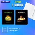 Тетради предметные, КОМПЛЕКТ 12 ПРЕДМЕТОВ, 48 л., глянцевый УФ-лак, BRAUBERG, "SHADE", 404324 404324