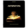Тетради предметные, КОМПЛЕКТ 12 ПРЕДМЕТОВ, 48 л., глянцевый УФ-лак, BRAUBERG, "SHADE", 404324 404324