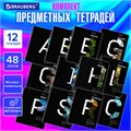 Тетради предметные, КОМПЛЕКТ 12 ПРЕДМЕТОВ, 48 л., матовая ламинация, BRAUBERG, "INTELLIGENCE", 404845 404845