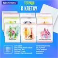 Тетради предметные, КОМПЛЕКТ 12 ПРЕДМЕТОВ, 48 л., матовая ламинация, лак, BRAUBERG, "CALM", 404844 404844