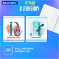 Тетради предметные, КОМПЛЕКТ 12 ПРЕДМЕТОВ, 48 л., матовая ламинация, лак, BRAUBERG, "CALM", 404844 404844