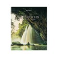 Тетради предметные, КОМПЛЕКТ 12 ПРЕДМЕТОВ, 48 л., обложка картон, BRAUBERG, "КЛАССИКА NEW", 404322 404322