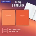 Тетради предметные, КОМПЛЕКТ 13 ПРЕДМЕТОВ, 36 л., обложка мелованная бумага, BRAUBERG, "КОЛОР", 405161 405161