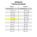 Тетрадь предметная "AVOCADO" 48 л., глянцевый лак, ОБЩЕСТВОЗНАНИЕ, клетка, BRAUBERG, 404274 404274