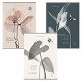 Тетрадь А4 80 л. ПЗБМ, скоба, клетка, Soft Touch, брайль, "Латынь" (микс в спайке), 23430 405341