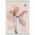 Тетрадь А4 80 л. ПЗБМ, скоба, клетка, Soft Touch, брайль, "Латынь" (микс в спайке), 23430 405341
