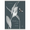 Тетрадь А4 80 л. ПЗБМ, скоба, клетка, Soft Touch, брайль, "Латынь" (микс в спайке), 23430 405341