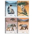 Тетрадь А4, 80 л., BRAUBERG, гребень, клетка, глянцевый лак, WILD, 404052 404052