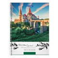 Тетрадь А4, 80 л., BRAUBERG, гребень, клетка, обложка твердая, "Nature", 404054 404054