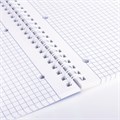 Тетрадь А4, 96 л., BRAUBERG, гребень, клетка, обложка картон, 4 СЕЗОНА, 403071 403071