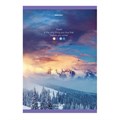 Тетрадь А4, 96 л., BRAUBERG, скоба, клетка, обложка картон, "Journey", 404064 404064
