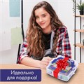 Глина полимерная запекаемая, НАБОР 24 цвета по 20 г, с аксессуарами в кейсе, BRAUBERG ART, 271163 271163