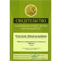 Пластилин классический ЮНЛАНДИЯ "ЮНЫЙ ВОЛШЕБНИК", 12 цветов, 240 г, со стеком, 106506 106506