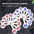 Веер-касса (цифры от 1 до 20) ПИФАГОР, 227392 227392