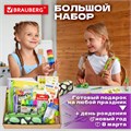 Набор канцелярии подарочный BRAUBERG "AVOCADO", 18 наименований, 43 предмета, 880951 880951