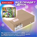 Набор канцелярии подарочный BRAUBERG "AVOCADO", 18 наименований, 43 предмета, 880951 880951