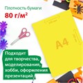 Цветная бумага А4 мелованная, 24 листов, 24 цвета, папка, индивидуальная упаковка, BRAUBERG KIDS, 200х280 мм, 115163 115163