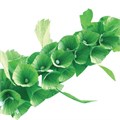 Бумага гофрированная/креповая, 110 г/м2, 50х250 см, зеленая, ОСТРОВ СОКРОВИЩ, 129151 129151