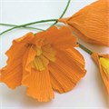 Бумага гофрированная/креповая, 110 г/м2, 50х250 см, оранжевая, ОСТРОВ СОКРОВИЩ, 129149 129149