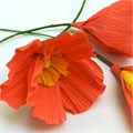 Бумага гофрированная/креповая, 32 г/м2, 50х250 см, оранжевая, в рулоне, BRAUBERG, 126530 126530