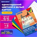 Набор картона БЕЛЫЙ + ЦВЕТНОЙ А4 мелованный, 10 листов (белый 4 листа + цветной 6 листов), в папке, BRAUBERG, 116630 116630