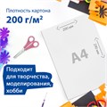Картон белый А4 МЕЛОВАННЫЙ (белый оборот) 5 листов, BRAUBERG, 200х290 мм, 116626 116626