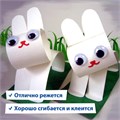 Картон белый А4 МЕЛОВАННЫЙ (белый оборот) 5 листов, BRAUBERG, 200х290 мм, 116626 116626