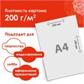Картон белый А4 МЕЛОВАННЫЙ (белый оборот), 10 листов, в папке, ОСТРОВ СОКРОВИЩ, 200х290 мм, 111312 111312