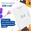 Картон белый А4 МЕЛОВАННЫЙ (белый оборот), 16 листов, в папке, BRAUBERG, 200х290 мм, 113561 113561