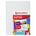 Картон белый А4 МЕЛОВАННЫЙ (белый оборот), 25 листов, BRAUBERG, 210х297 мм, 124021 124021