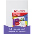 Картон белый А4 МЕЛОВАННЫЙ (белый оборот), 25 листов, BRAUBERG, 210х297 мм, 124021 124021