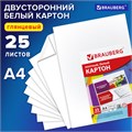 Картон белый А4 МЕЛОВАННЫЙ (белый оборот), 25 листов, BRAUBERG, 210х297 мм, 124021 124021