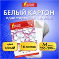 Картон белый А4 немелованный (матовый), 16 листов, в папке, ОСТРОВ СОКРОВИЩ, 200х290 мм, "Цветы", 111314 111314