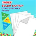 Картон белый А4 немелованный, 5 листов, ПИФАГОР, 200х290 мм, 116627 116627