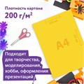Картон цветной А4 немелованный, 24 листов, 8 цветов, в папке, ЮНЛАНДИЯ, 200х290 мм, "Коала", 115640 115640