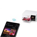 МФУ струйное EPSON L8160 "3 в 1", А4, 32 стр./мин, 5760x1440, ДУПЛЕКС, Wi-Fi, сетевая карта, C11CJ20404 354813