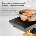 Настольная индукционная плита BQ (БИ-КЬЮ) HP106B, 2000 Вт, 8 программ, электронное управление, черная, 86202117 457508